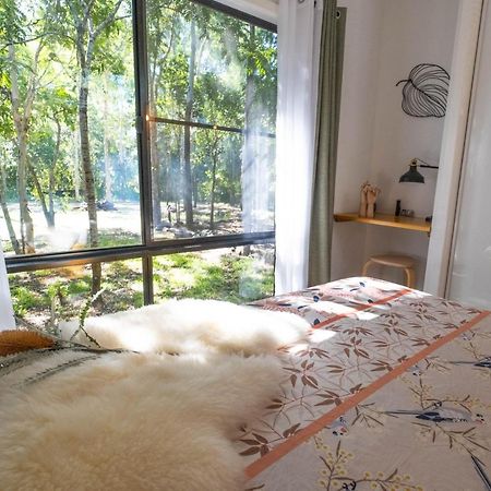 Airlie Beach Eco Cabins - Adults Only Extérieur photo