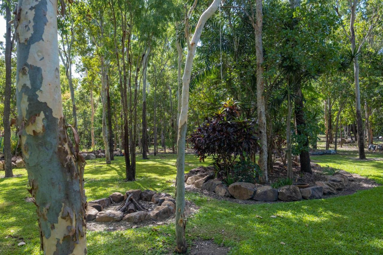 Airlie Beach Eco Cabins - Adults Only Extérieur photo