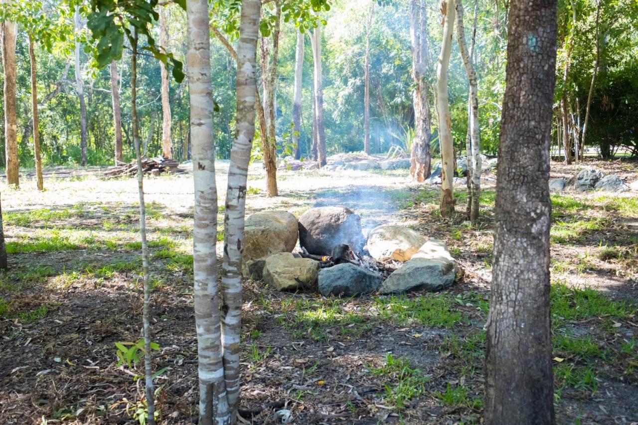 Airlie Beach Eco Cabins - Adults Only Extérieur photo