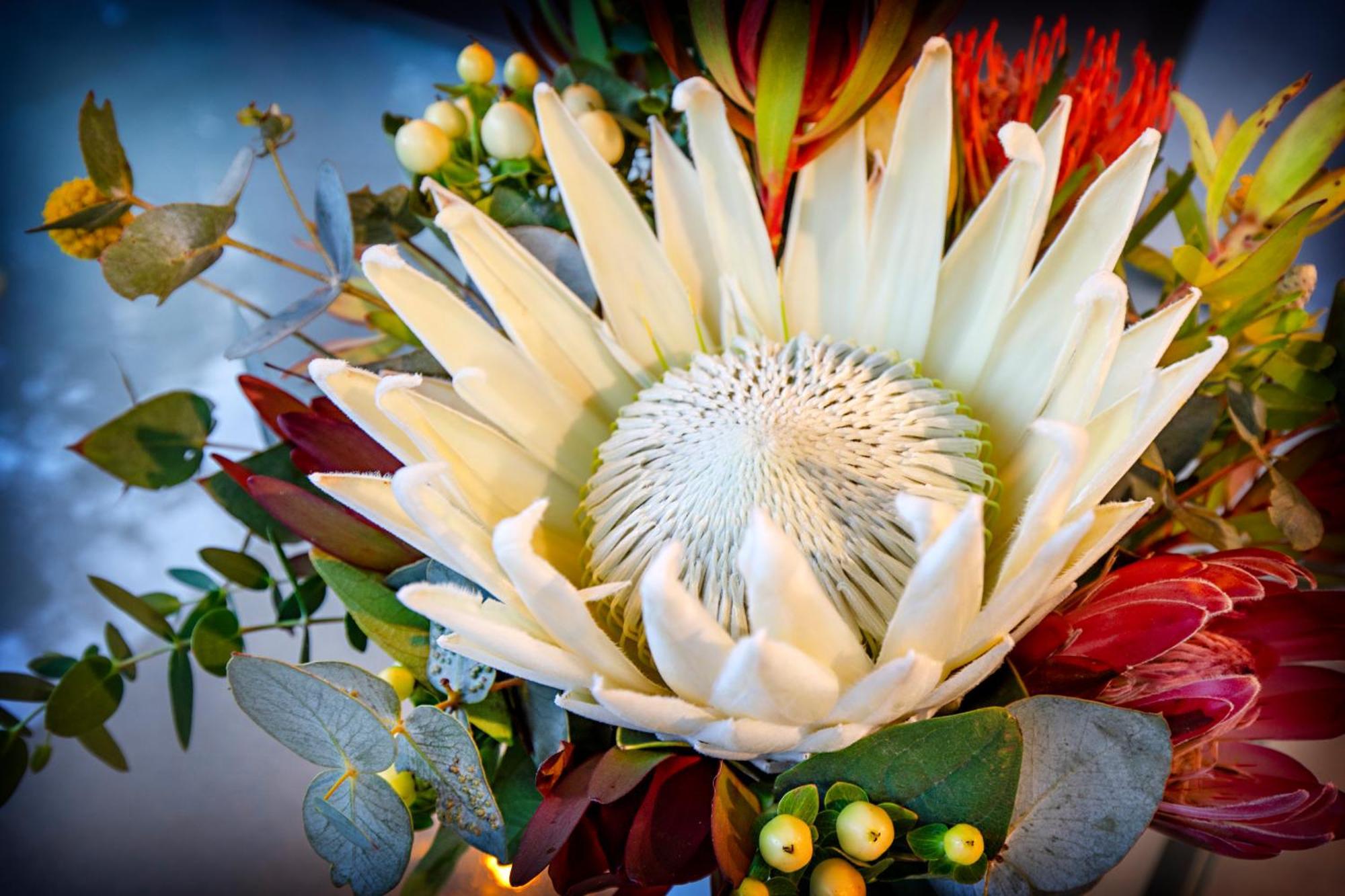 Airlie Beach Eco Cabins - Adults Only Extérieur photo